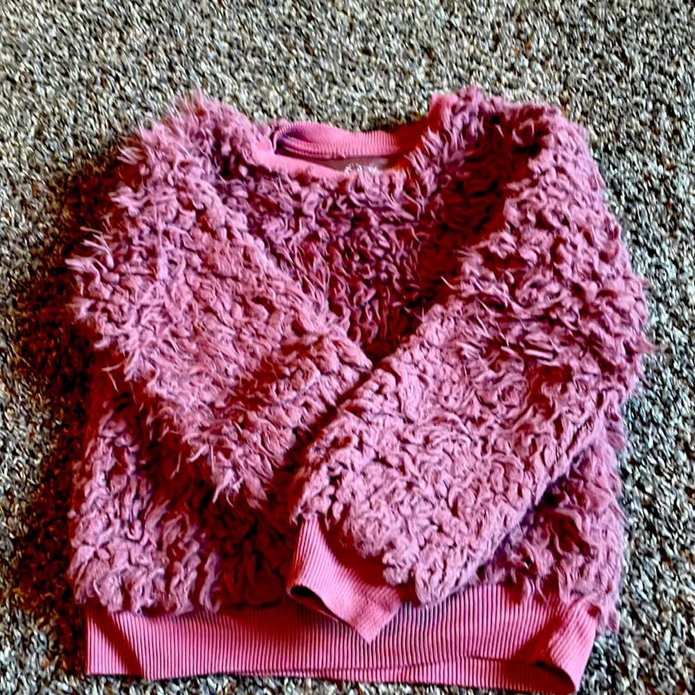 Girl’s Art Class Faux Fur Sweatshirt